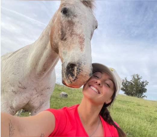 Cliente Diego - Proyecto Casa Cinta